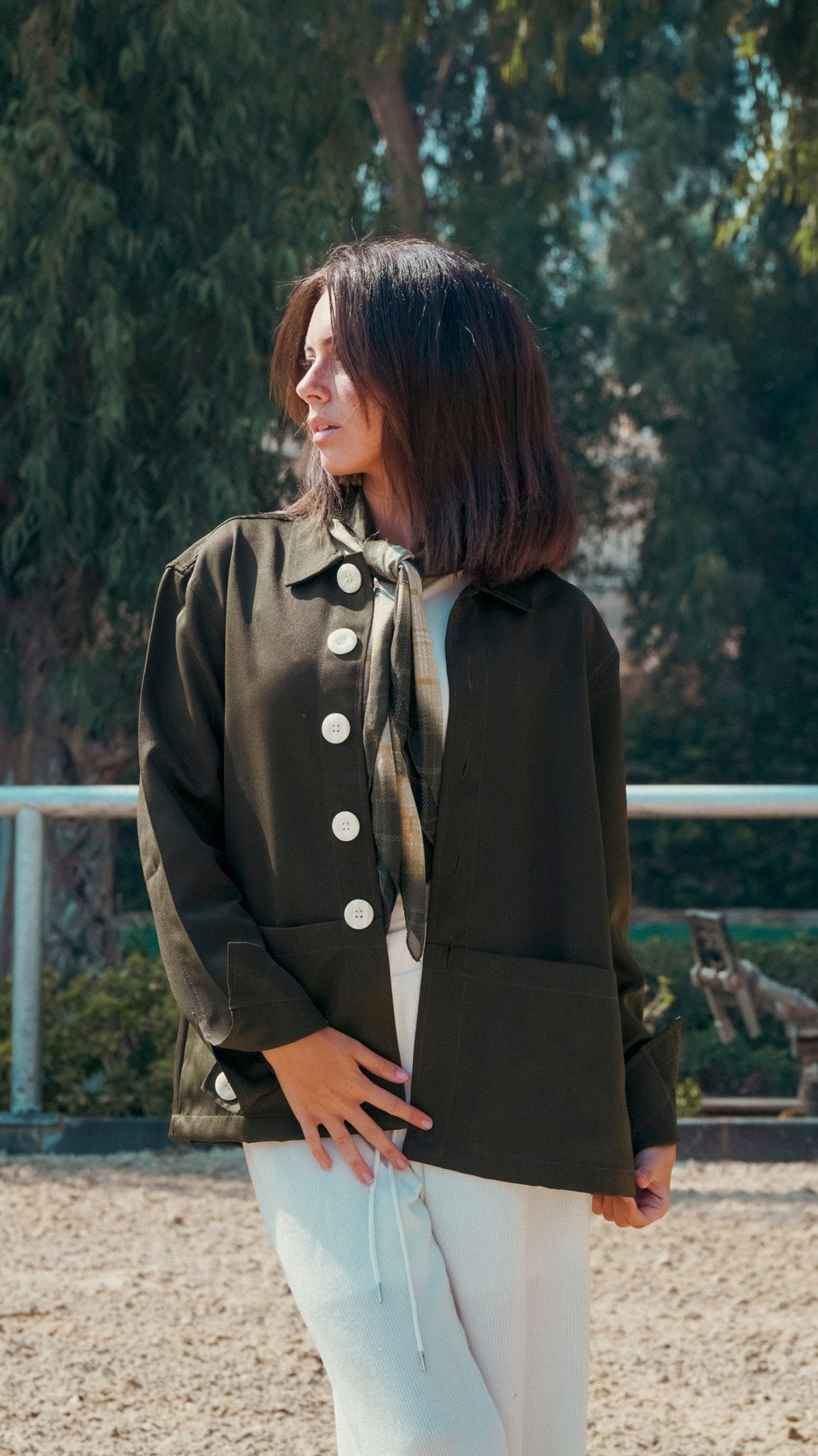 Wilton Olive